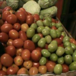 HargaTomat Melonjak Capai Rp18 Ribu Perkilo