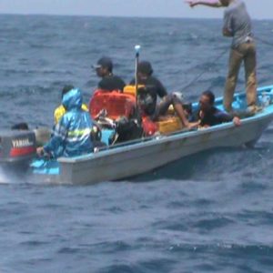 Penjarahan Harta Karun, Catut Tomi Winata