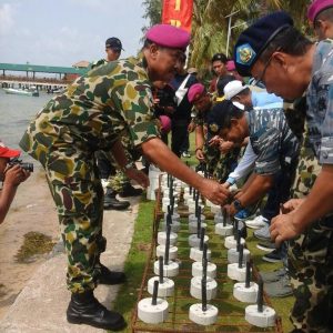 Yonmarhanlan Lantamal IV Tanam Bibit Terumbu Karang