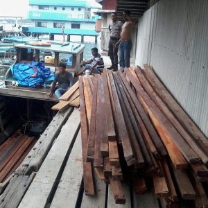Satpolair Amankan 4 Ton Kayu Ilegal