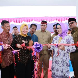 Bertambah Posyandu Di Tanjungpinang