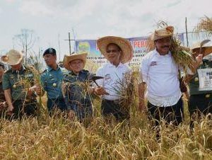 Nurdin Rasa Beras Super Cap Gunung Daik