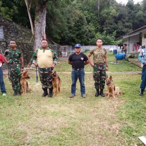 Dukung Tugas ,Lantamal IV Miliki 4 Anjing Pelacak