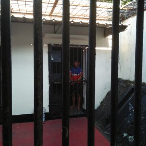 Diduga Cabuli Dua Bocah Mahasiswa Dibekuk Polisi