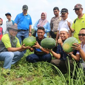 Panen Semangka, Bupati Bintan Gelar Tasyakuran Bersama Masyarakat