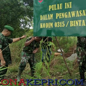 TNI AD Turun Pasang Bendera Merah Putih dan Papan Plang  Di Pulau Ajab