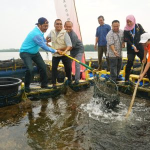 Kemas Wisata Perikanan, Jadikan Destinasi Unggulan 