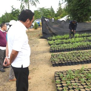 Agrowisata Bisa Jadi Sektor Wisata Unggulan Kepri