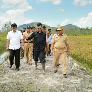 Kementan Minta Lingga Terbitkan Perda LP2B