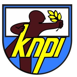 DPP KNPI Himbau Pengurus Lapor Penyalahgunaan Logo KNPI ke Polisi