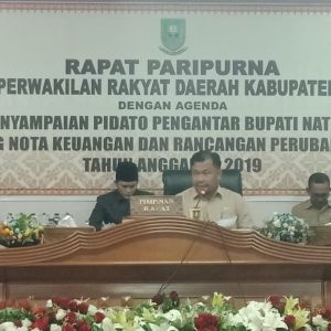 Pidato Pengantar Nota Keuangan RAPBD-P Natuna TA 2020