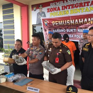 Polres Bintan Musnahkan 2972,64 Gram Ganja