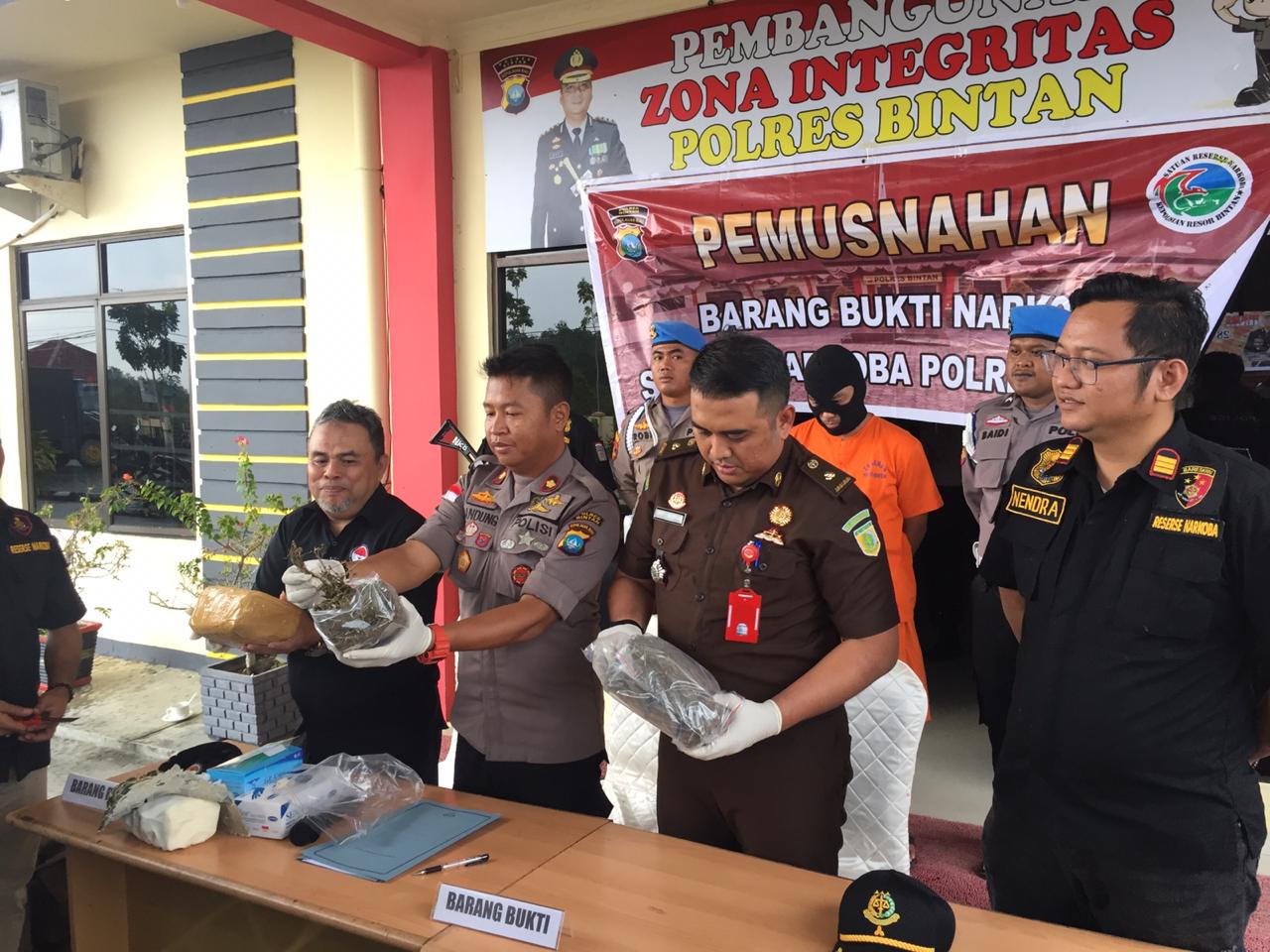 Polres Bintan Musnahkan 2972,64 Gram Ganja