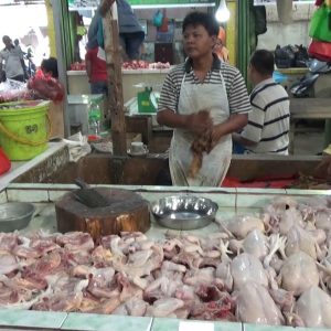 Harga Ayam Potong Naik, Kacang Tanah Langka