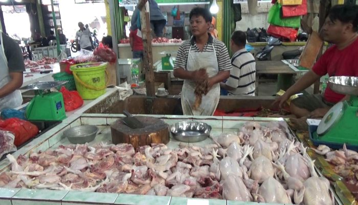 Harga Ayam Potong Naik, Kacang Tanah Langka