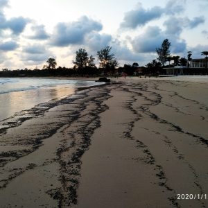 Resort Kewalahan Bersihkan Limbah Oli Di Tepi Pantai