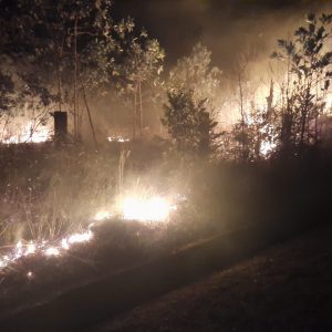 Bahan Bakar Habis Damkar Tak Bisa Turun Padamkan Kebakaran Lahan