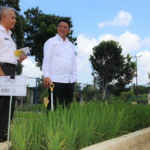 Apri Tinjau Pengembangan Pertanian Varietas Tanaman Pangan