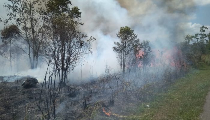 Setengah Hektar Lahan Di Jalan Tirtamadu Terbakar