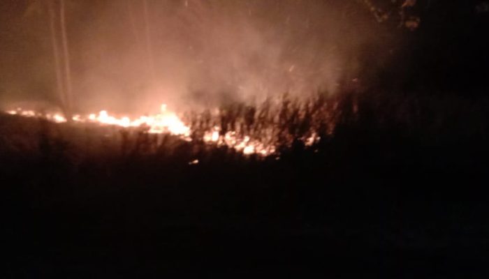 Sehari Tiga Lokasi Kebakaran Lahan Di Bintan