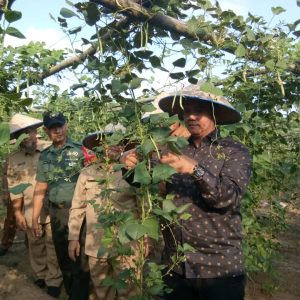 Panen Raya Hingga Dialog Dengan Petani, Apri Sampaikan “Petani Milennial”