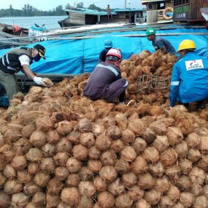 Kepri Ekspor Santan Kelapa Senilai Rp1,3 M ke Jerman