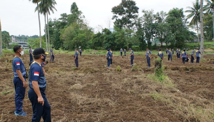 Danlantamal VIII Pimpin Pembukaan Lahan Garapan Ketahanan Pangan Antisipasi Covid 19