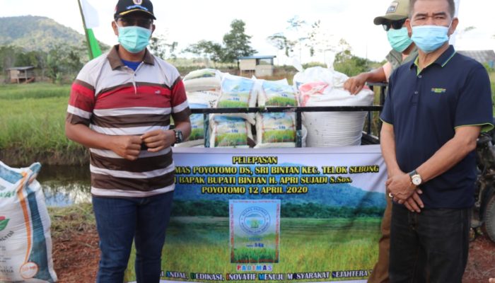 Apri Launching “PADI MAS”Angkat Produk Beras Petani Bintan