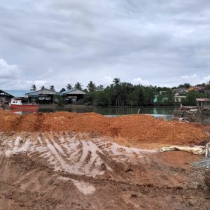 Diduga Penimbunan Lahan Bakau Tidak Miliki Izin