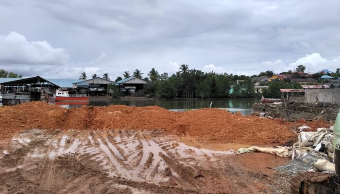 Diduga Penimbunan Lahan Bakau Tidak Miliki Izin