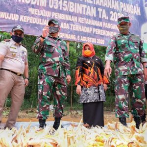 Panen Jagung Demplot bersama Kodim 0315/Bintan, Rahma Berikan Apresiasi kepada Petani TNI