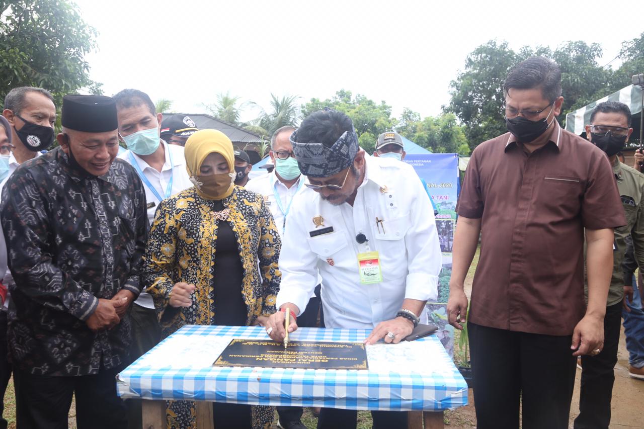 Menteri Pertanian Tindaklanjuti Keluhan Pupuk Subsidi Petani Tanjungpinang