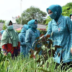Sofha Marwah Bahtiar : Manfaatkan Lingkungan dan Halaman untuk Perkebunan  dan Terus Berinovasi