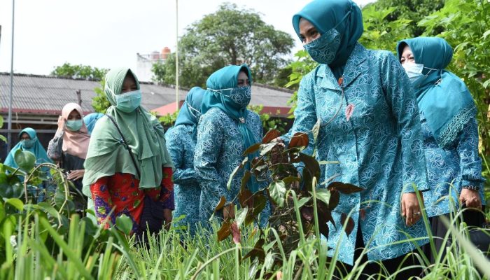 Sofha Marwah Bahtiar : Manfaatkan Lingkungan dan Halaman untuk Perkebunan  dan Terus Berinovasi