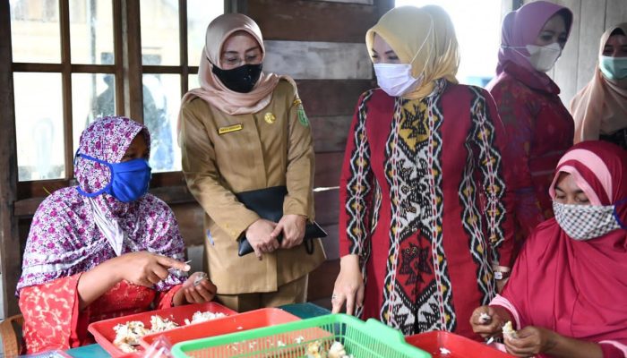 Siasati Pandemi, Sofha Ajak Para Ibu Jadi Pengrajin