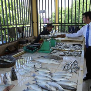 Harga Beras Dan Ikan Naik, Penjual Makananpun Ikut Naikkan Harga