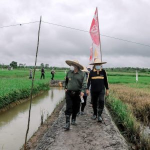 Masa Pandemi,Sektor Pertanian, Peternakan dan Perikanan Jadi Solusi