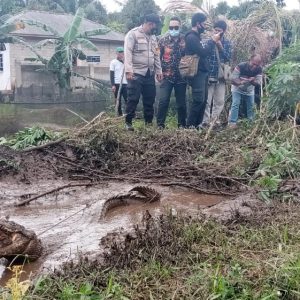 Warga Bangunsari Tangkap Buaya Pemakan Ternak Lele Di Kolam
