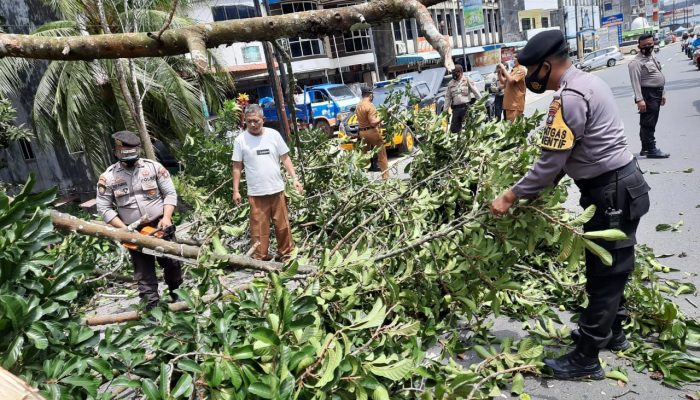 Sat Sabhara Polres Tanjungpinang Bersihkan Pohon Tumbang Akibat Angin Kencang