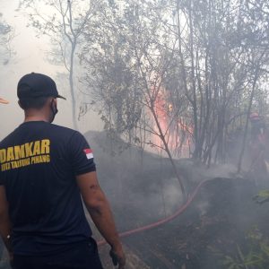 42 Hektar Lahan Di Hutan Lindung Bukit Kucing Tanjungpinang Terbakar