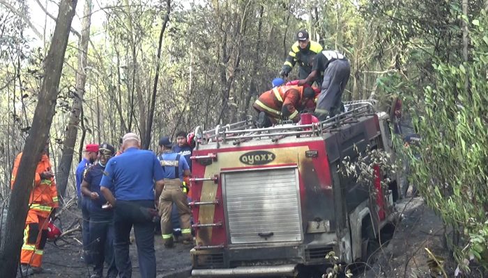 1 Unit Mobil Damkar Terbakar Di Hutan Lindung Bukit Kucing