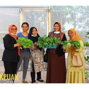 PKK Kepri Dukung Budidaya Sayur Hidroponik Guna Menambah Penghasilan