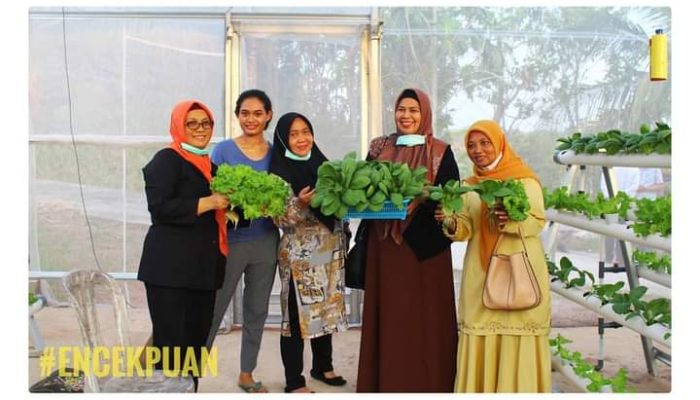 PKK Kepri Dukung Budidaya Sayur Hidroponik Guna Menambah Penghasilan