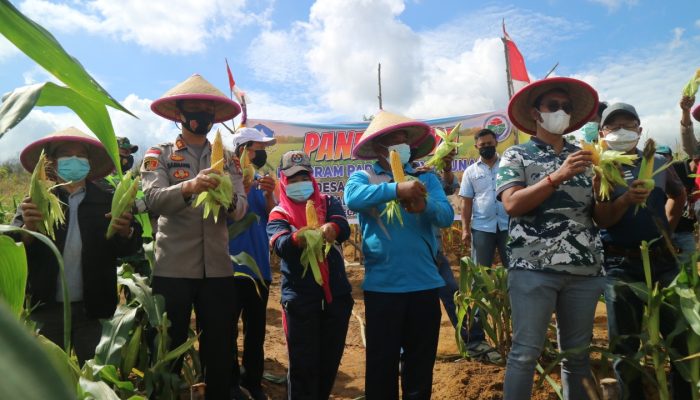 51 Desa Dan Kelurahan Di Bintan Segera Dibentuk Kampung Tangguh
