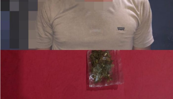 Sat Resnarkoba Polres Tanjungpinang Amankan 0,63 Gram Ganja Dan Pengguna