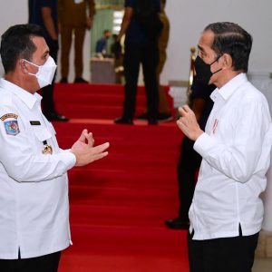 Presiden RI Dukung Pembangunan Jembatan Babin