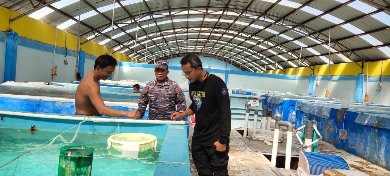 Lanal Batam Gagalkan Penyelundupan Baby Lobster Modus Baru Ke Singapura