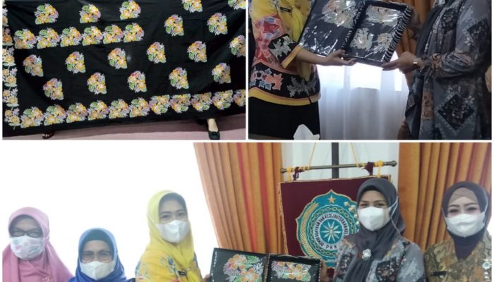 Ciptakan Perempuan Berdaya Saing, DP3AP2KB Kerja Sama Dengan TP PKK Kepri