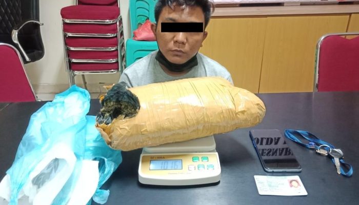 Polda Kepri Amankan Ganja 1.016 Gram Dan Sabu 12,97 Gram 