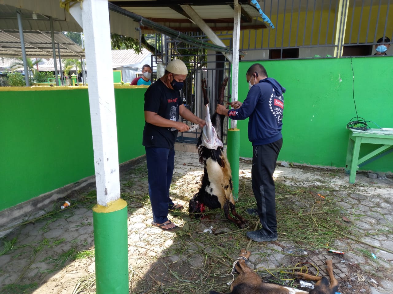 Idul Adha 1442 H, Lantamal IV Tanjungpinang Sembelih 14 Ekor Hewan Kurban